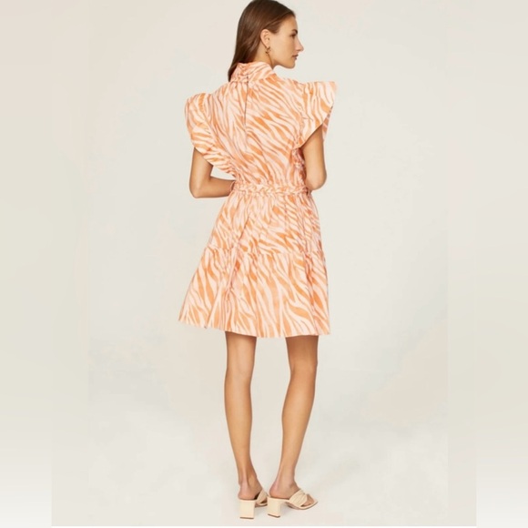 Derek Lam Collective Zebra Print Mini Dress Size __ RTR Resort Chic - Picture 3 of 6